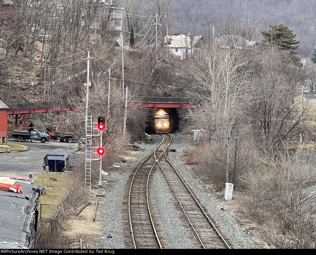 NS 6954, 3641 & 7295